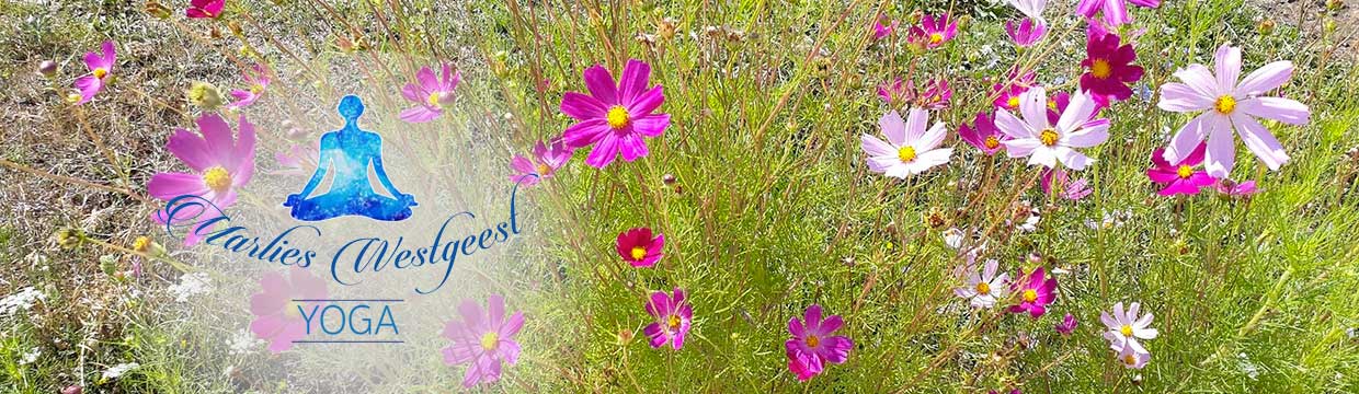 heartfulness heartfulness