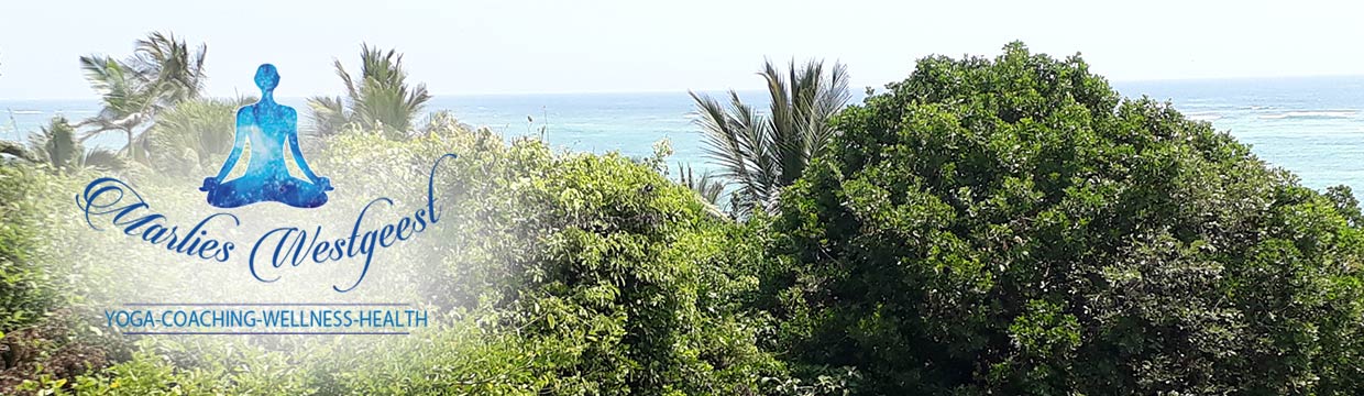 yogabymarlies-yoga-coaching-wellness-health-007 yogabymarlies-yoga-coaching-wellness-health-007